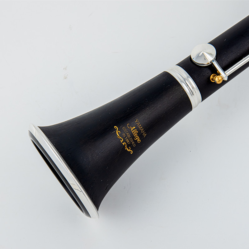 Musical Instrument Youtube - Japan Brand New Professional Wood /