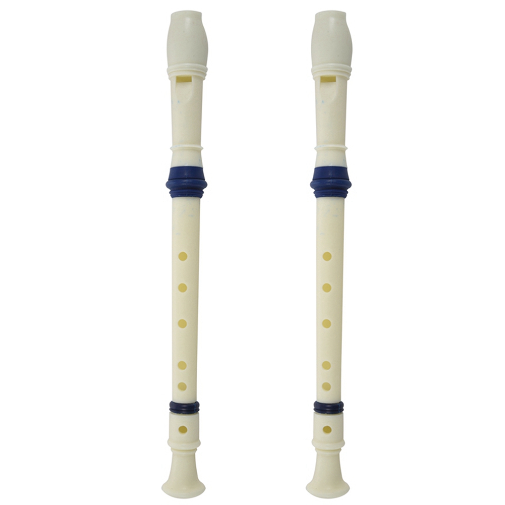 FSTE-2X Music Instrument 6 Hol - огляд і ціна Musical Instrument A Recorder