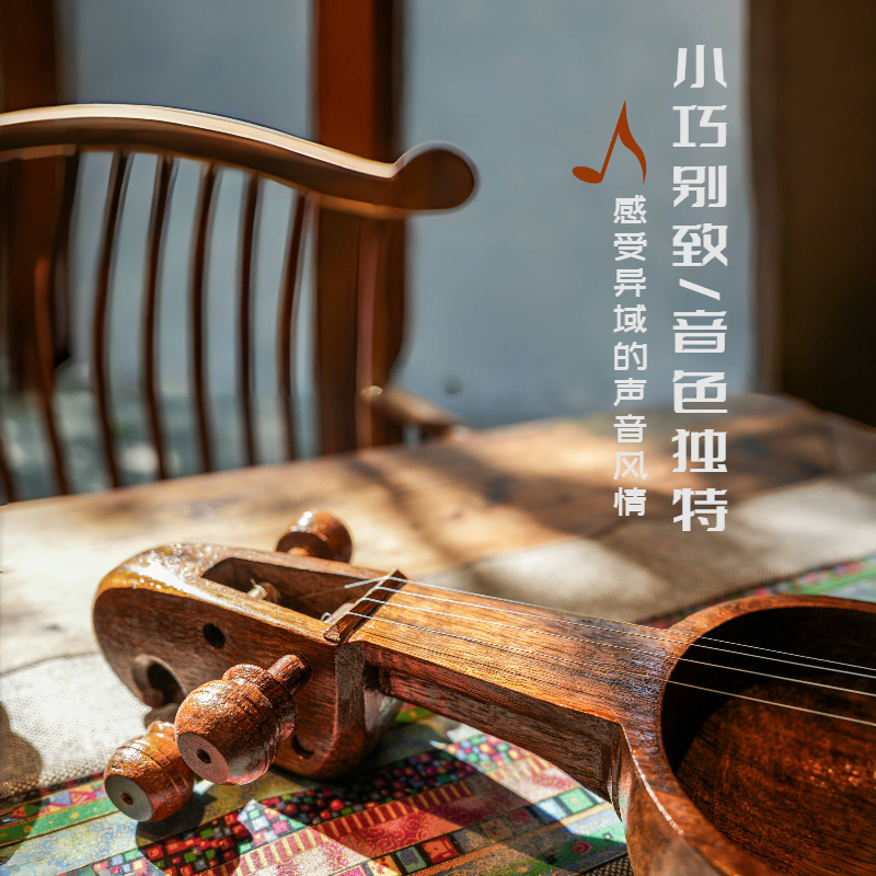 Nepalese salangi, alternative  - огляд і ціна Musical Instrument Groups