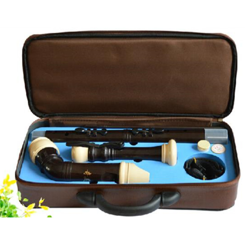 Professional 8 Holes Baroque B - огляд і ціна Musical Instrument A Recorder