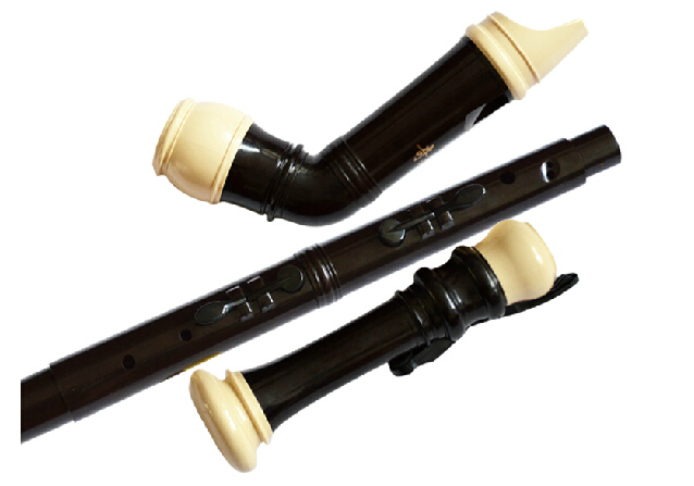 Professional 8 Holes Baroque B - огляд і ціна Musical Instrument A Recorder