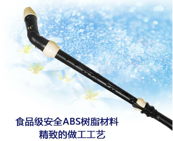 Professional 8 Holes Baroque B - огляд і ціна Musical Instrument A Recorder