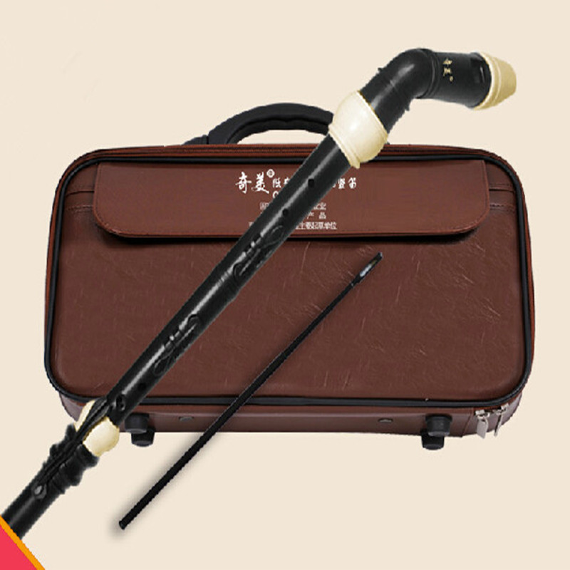 Professional 8 Holes Baroque B - огляд і ціна Musical Instrument A Recorder