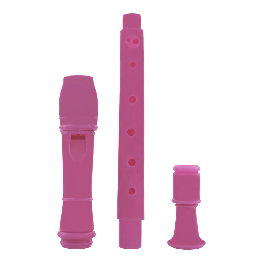 IRIN 8 Hole Flute Clarinet ABS - огляд і ціна Musical Instrument A Recorder